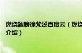 燃烧翅膀徐梵溪百度云（燃烧翅膀 徐梵溪演唱歌曲相关内容简介介绍）