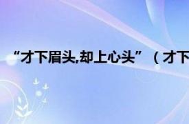 “才下眉头,却上心头”（才下眉头却上心头相关内容简介介绍）