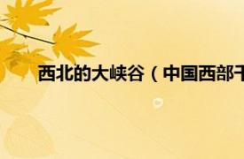 西北的大峡谷（中国西部千里大峡谷相关内容简介介绍）