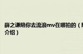 薛之谦陪你去流浪mv在哪拍的（陪你去流浪 薛之谦演唱歌曲相关内容简介介绍）