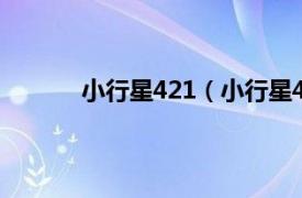 小行星421（小行星4466相关内容简介介绍）