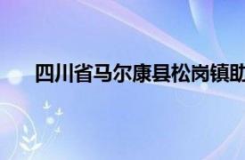 四川省马尔康县松岗镇助理农业经济师相关内容介绍