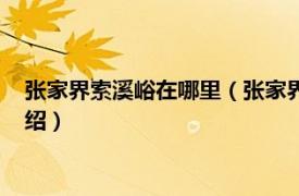 张家界索溪峪在哪里（张家界索溪峪自然保护区相关内容简介介绍）