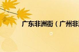 广东非洲街（广州非洲街相关内容简介介绍）