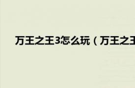 万王之王3怎么玩（万王之王3游戏人生相关内容简介介绍）