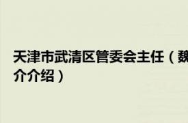 天津市武清区管委会主任（魏力 天津市武清区副区长相关内容简介介绍）