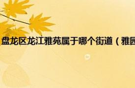 盘龙区龙江雅苑属于哪个街道（雅园 盘龙城经济开发区相关内容简介介绍）