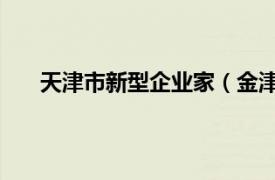 天津市新型企业家（金津 企业家相关内容简介介绍）