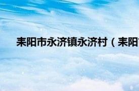 耒阳市永济镇永济村（耒阳市永济中学相关内容简介介绍）