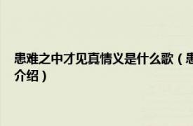 患难之中才见真情义是什么歌（患难见真情 陈秀男制作歌曲相关内容简介介绍）