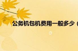 公务机包机费用一般多少（公务包机相关内容简介介绍）