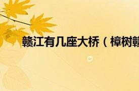 赣江有几座大桥（樟树赣江大桥相关内容简介介绍）