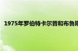 1975年罗伯特卡尔普和布鲁斯贝克林主演的电影相关内容简介