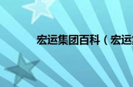 宏运集团百科（宏运集团相关内容简介介绍）