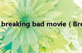 breaking bad movie（Breaking Bad相关内容简介介绍）