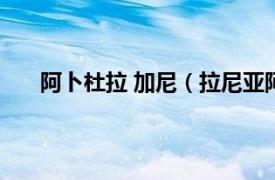 阿卜杜拉 加尼（拉尼亚阿卜杜拉相关内容简介介绍）