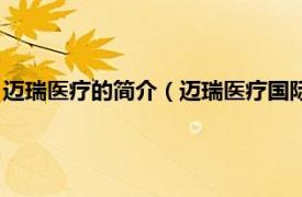 迈瑞医疗的简介（迈瑞医疗国际股份有限公司相关内容简介介绍）