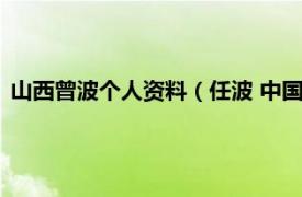 山西曾波个人资料（任波 中国山西籍艺术家相关内容简介介绍）