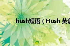 hush短语（Hush 英语单词相关内容简介介绍）