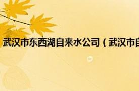 武汉市东西湖自来水公司（武汉市自来水公司东湖水厂相关内容简介介绍）