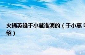 火锅英雄于小慧谁演的（于小惠 电影《火锅英雄》中人物相关内容简介介绍）