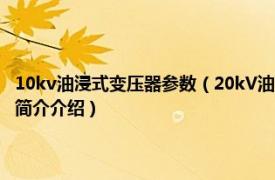 10kv油浸式变压器参数（20kV油浸式配电变压器技术参数和要求相关内容简介介绍）