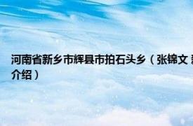 河南省新乡市辉县市拍石头乡（张锦文 新乡辉县市拍石头乡中心小学教师相关内容简介介绍）