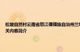 松坡自然村云南省怒江傈僳族自治州兰坪白族普米族自治县通甸镇郭公村所辖自然村相关内容简介