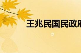 王兆民国民政府立法院议员简介