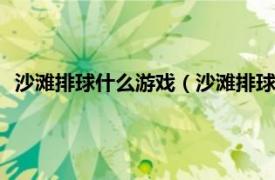 沙滩排球什么游戏（沙滩排球 iPhone游戏相关内容简介介绍）