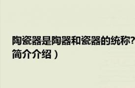 陶瓷器是陶器和瓷器的统称?（陶瓷 陶器和瓷器的总称相关内容简介介绍）