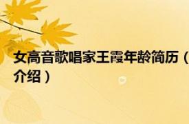 女高音歌唱家王霞年龄简历（王晓青 女高音歌唱家相关内容简介介绍）