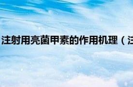 注射用亮菌甲素的作用机理（注射用亮菌甲素相关内容简介介绍）