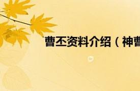 曹丕资料介绍（神曹丕相关内容简介介绍）