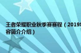 王者荣耀职业秋季赛赛程（2019年王者荣耀职业联赛秋季赛总决赛相关内容简介介绍）