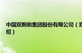 中国双胞胎集团股份有限公司（双胞胎 集团股份有限公司相关内容简介介绍）