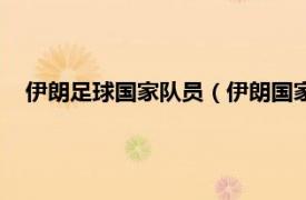 伊朗足球国家队员（伊朗国家男子足球队相关内容简介介绍）