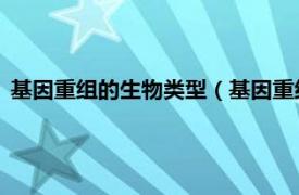 基因重组的生物类型（基因重组 生物学名词相关内容简介介绍）