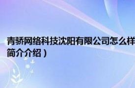 青骄网络科技沈阳有限公司怎么样（黑龙江青骄网络科技有限公司相关内容简介介绍）