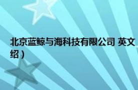 北京蓝鲸与海科技有限公司 英文（北京海鲸科技有限公司相关内容简介介绍）