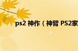 ps2 神作（神臂 PS2家机游戏相关内容简介介绍）