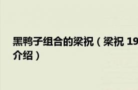 黑鸭子组合的梁祝（梁祝 1994年黑鸭子演唱歌曲相关内容简介介绍）