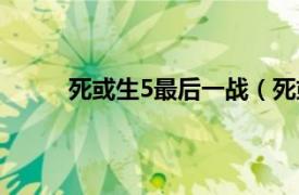 死或生5最后一战（死或生5相关内容简介介绍）