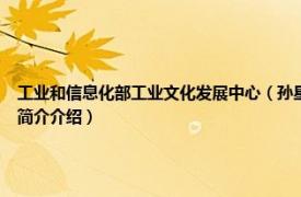 工业和信息化部工业文化发展中心（孙星 国家工信部工业文化发展中心副主任相关内容简介介绍）