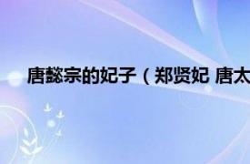 唐懿宗的妃子（郑贤妃 唐太宗妃嫔之一相关内容简介介绍）