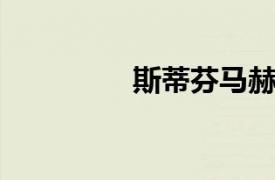 斯蒂芬马赫相关内容介绍