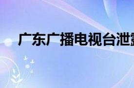 广东广播电视台泄露的TVS1迷你剧简介