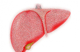 研究发现NAFLD 患者的一级亲属存在肝病风险