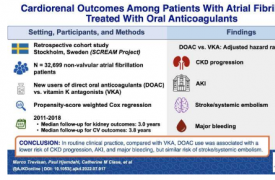 直接口服抗凝剂显示出较低的肾脏疾病进展风险