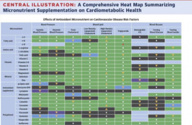 研究确定了一些有益于心血管健康的补充剂